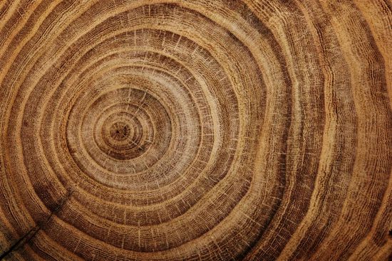 istock_88839705_xlarge